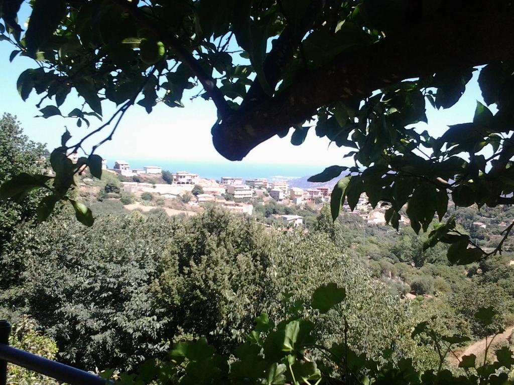Le Roverelle Ilbono Exterior foto