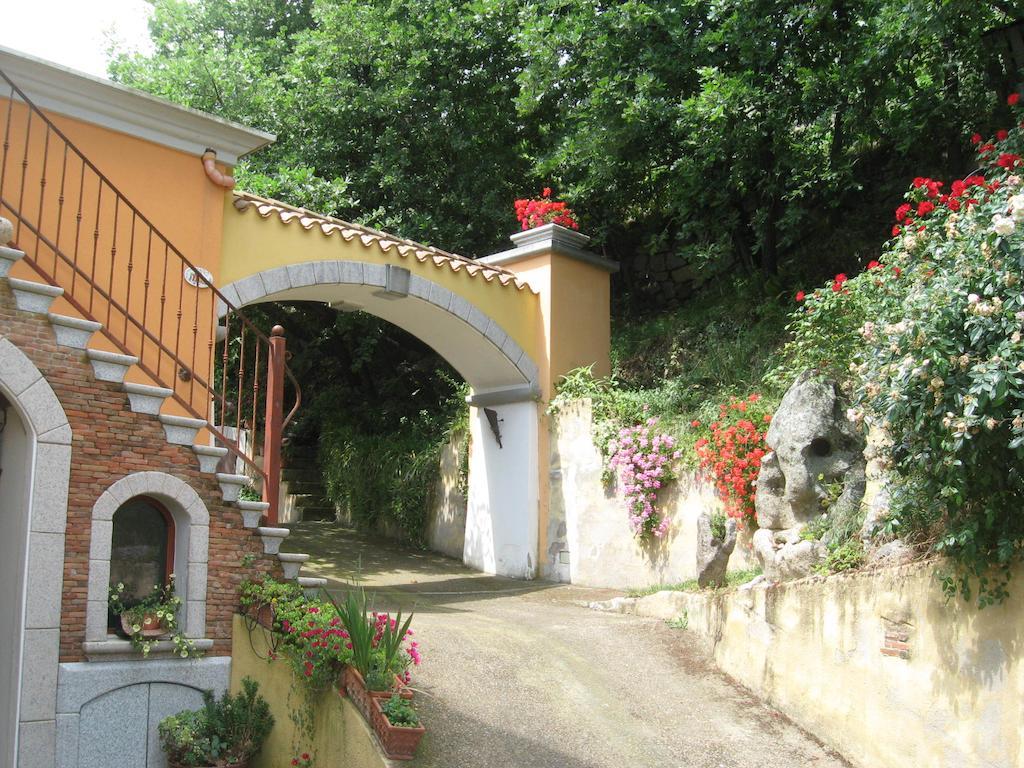 Le Roverelle Ilbono Quarto foto